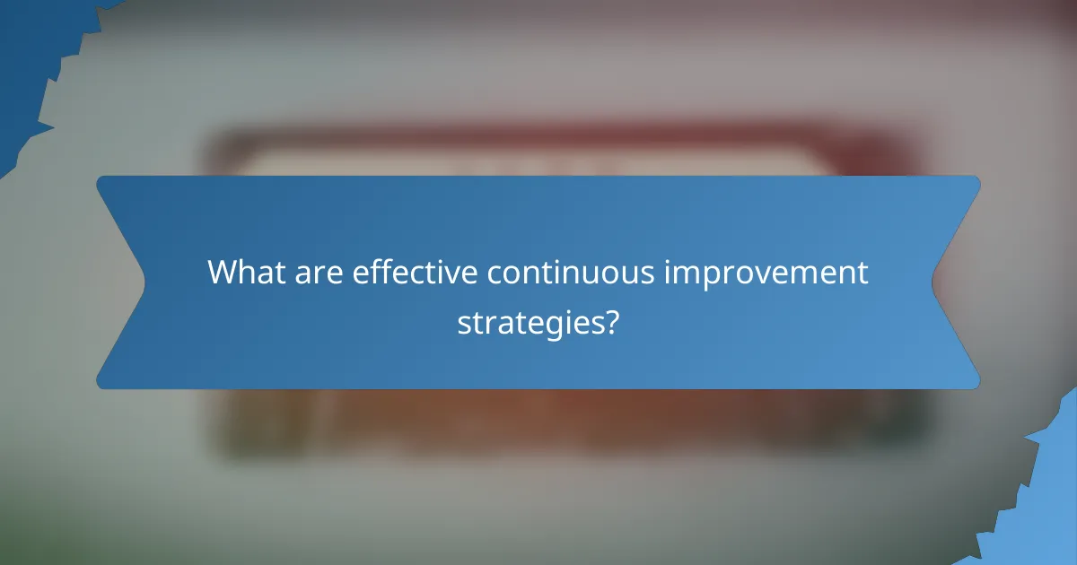 What are effective continuous improvement strategies?