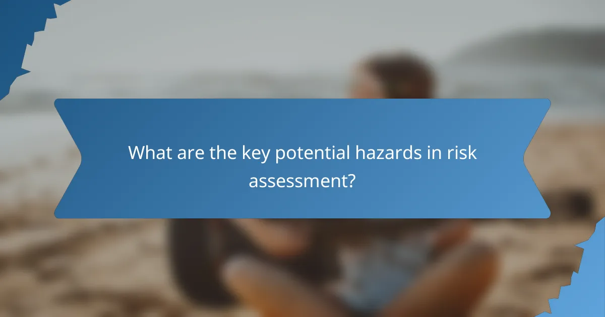 What are the key potential hazards in risk assessment?